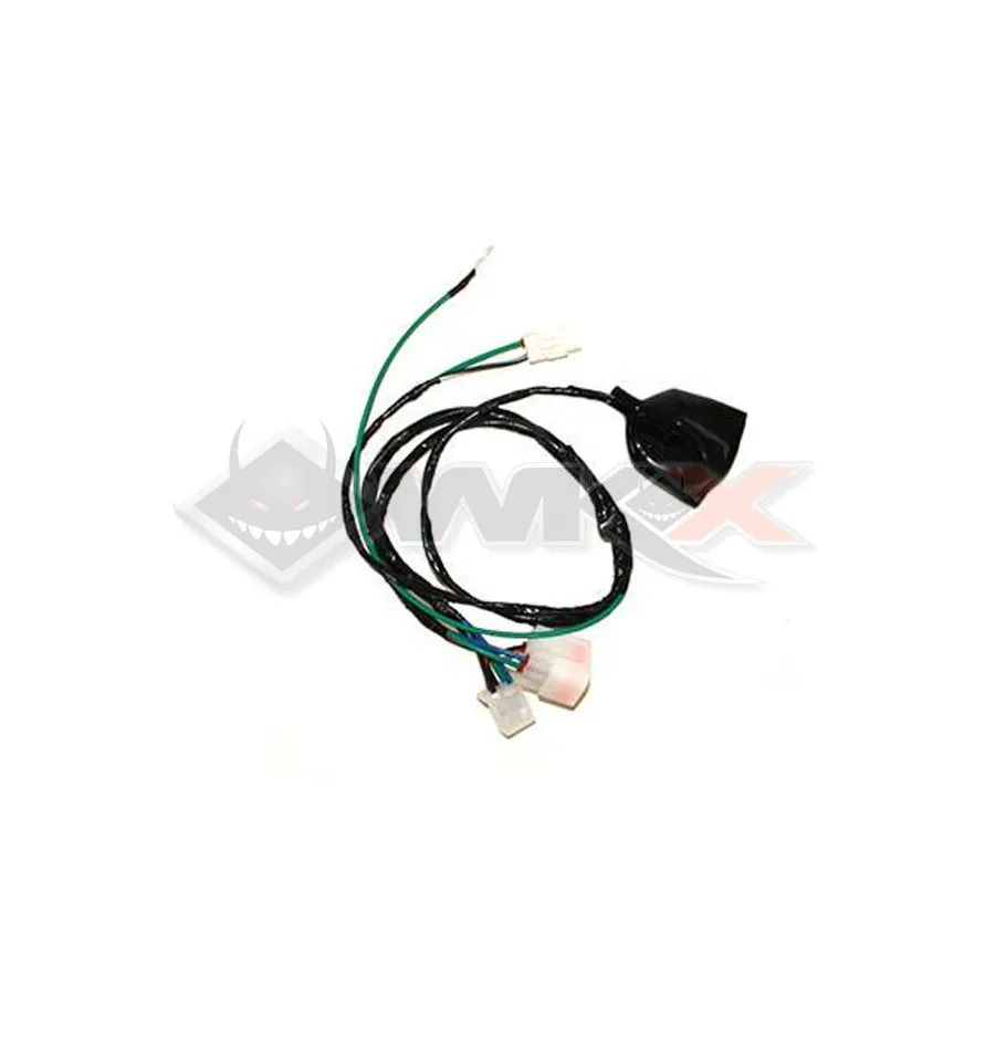 Faisceau électrique YCF BIGY