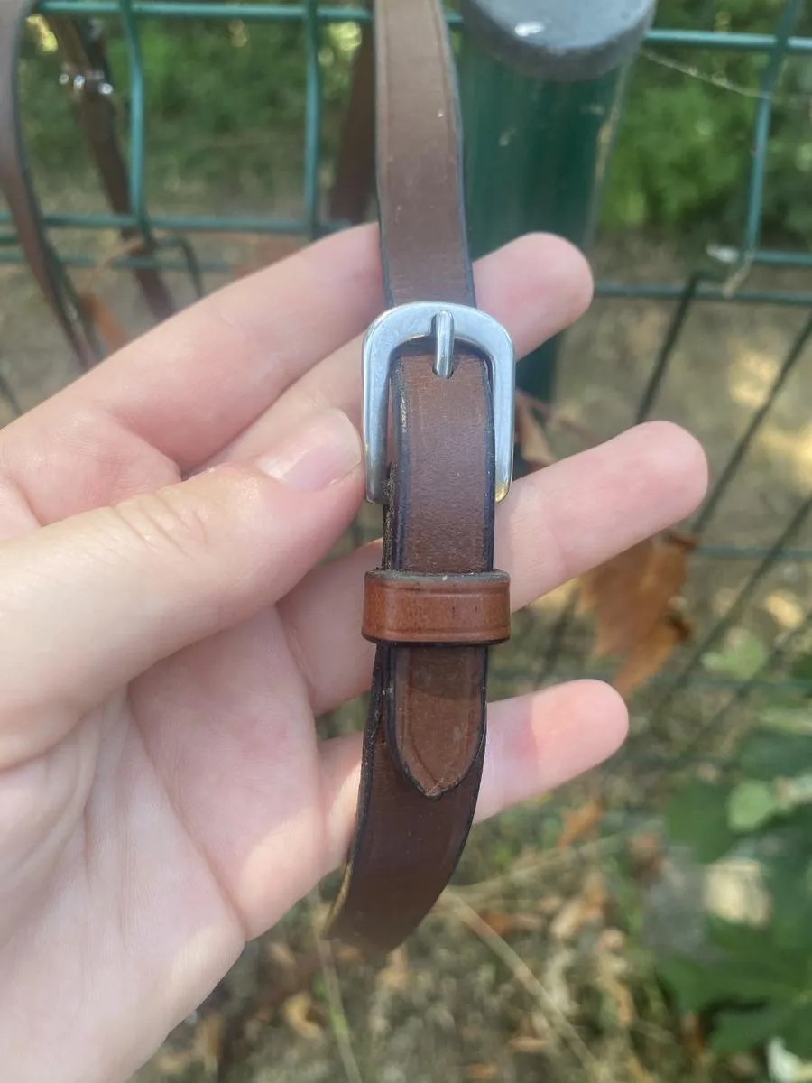Reins Pair