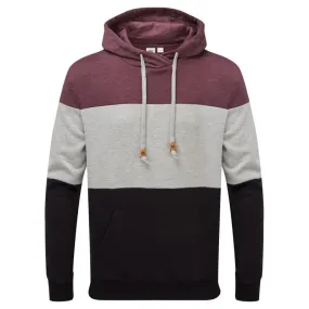 Tentree TreeFleece Blocked Reynard Hoodie homme