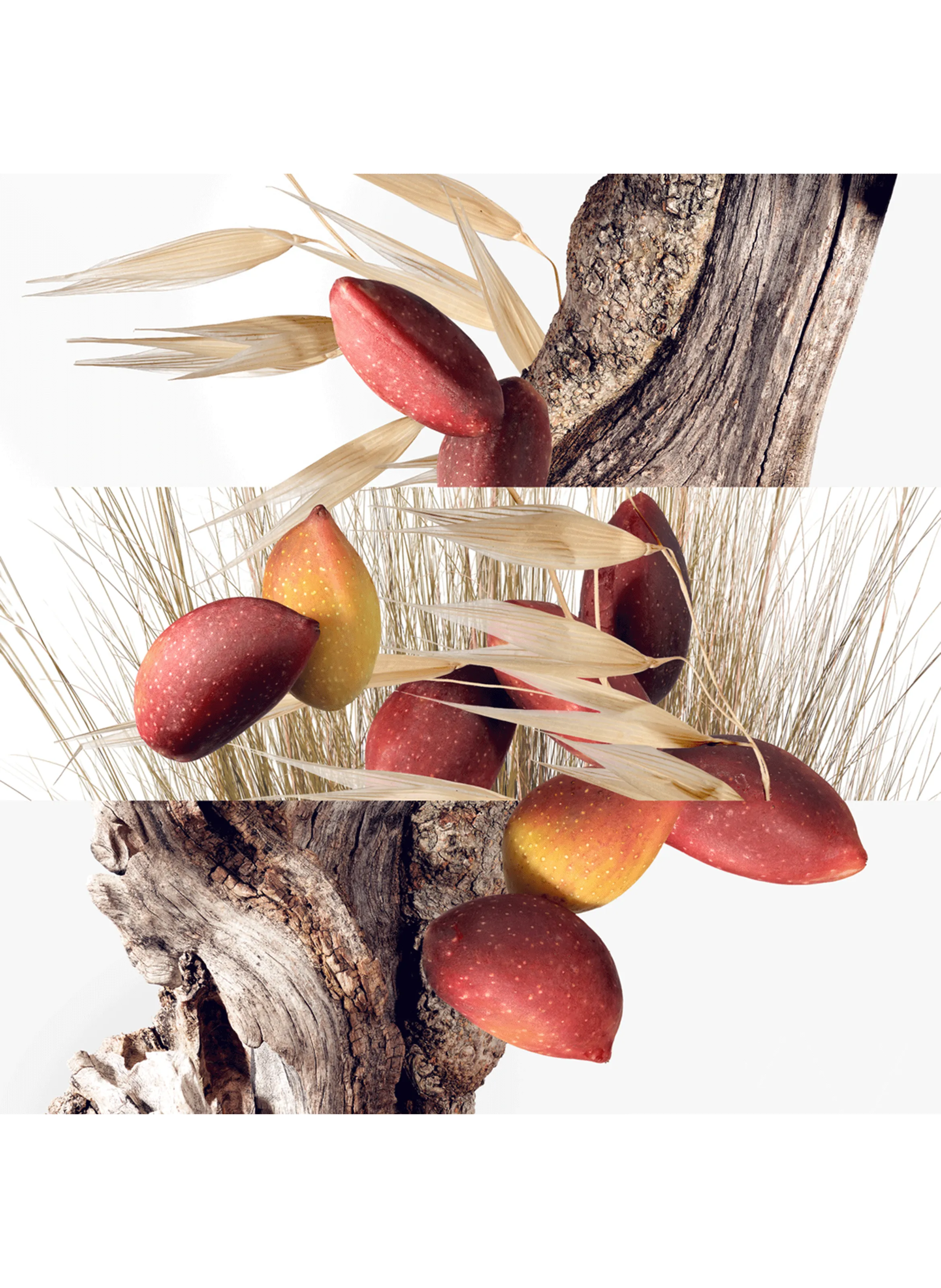 UN JARDIN à CYTHèRE, GEL DOUCHE POUR LE CORPS - HERMèS pour BEAUTé | Printemps